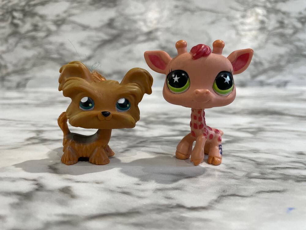 Littlest Pet Shop Bundle